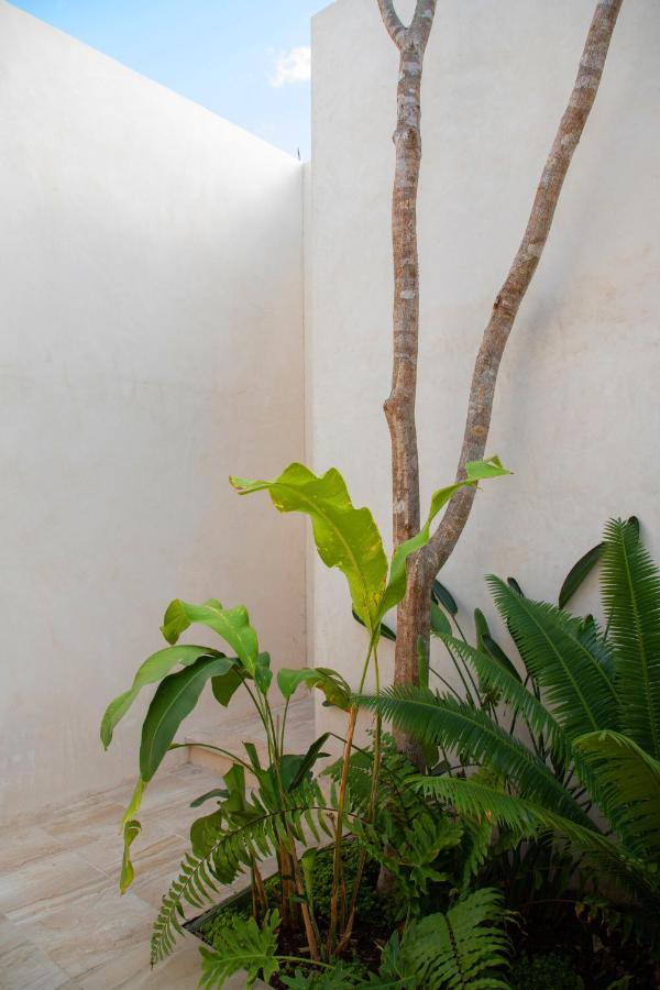 Agua De Cienega Hotel Hunucma Ngoại thất bức ảnh